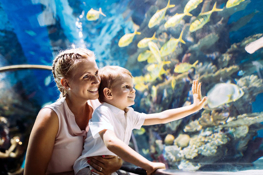 Family Tips for Visiting the National Aquarium in Baltimore